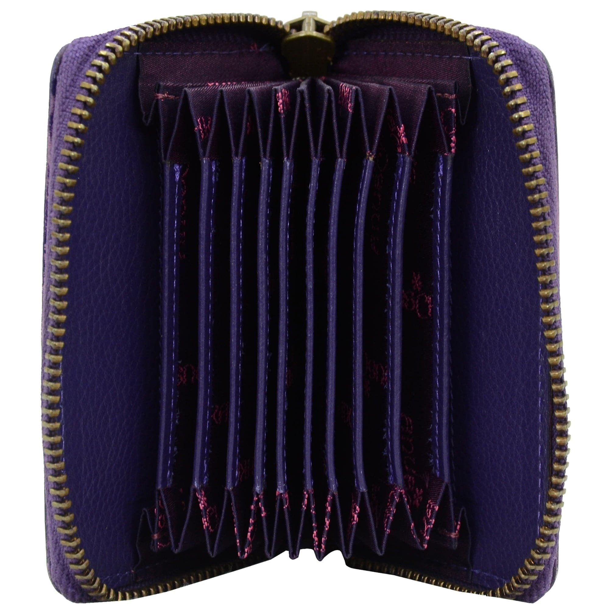 Accordion Style Credit And Business Card Holder - 1110