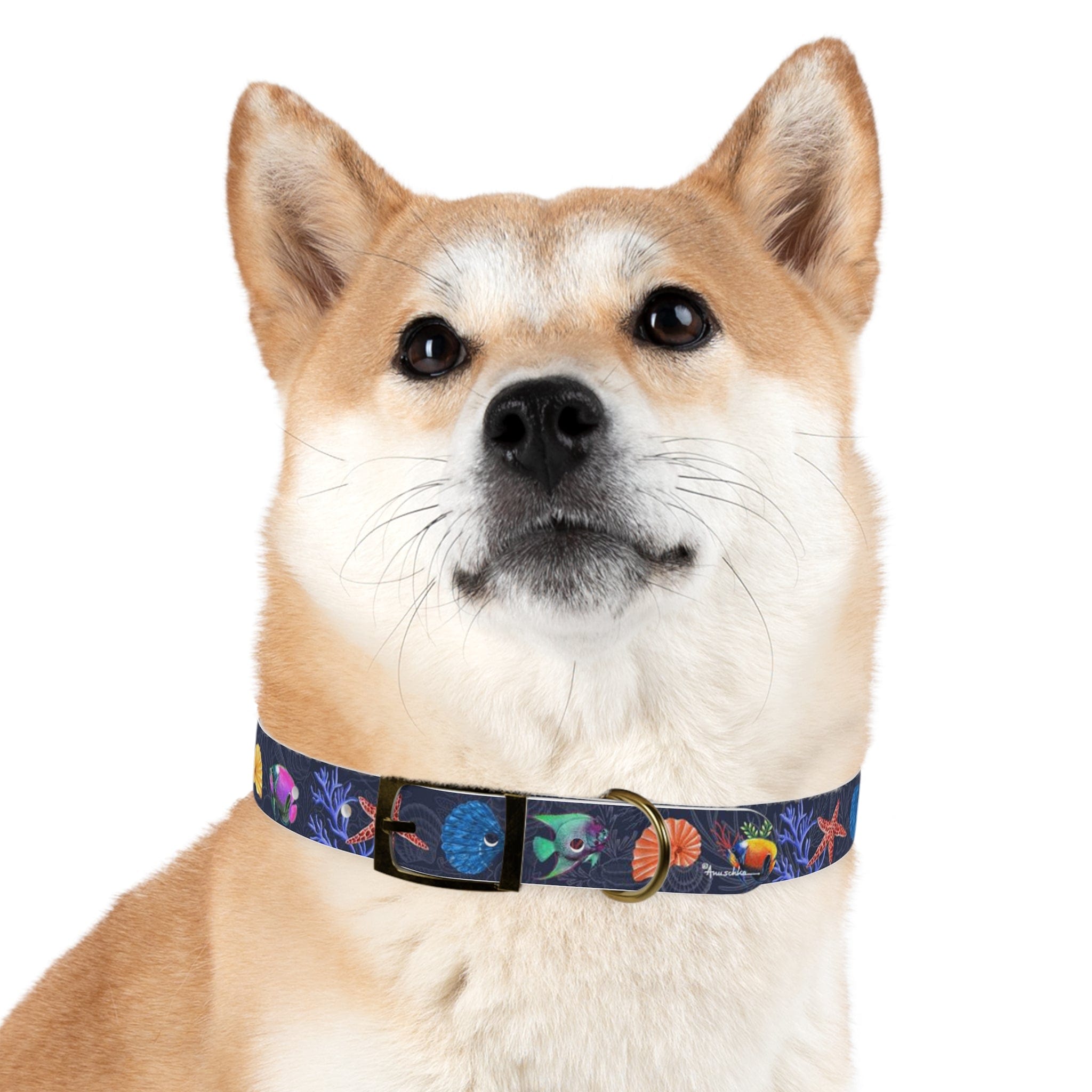 Mystical Reef Dog Collar