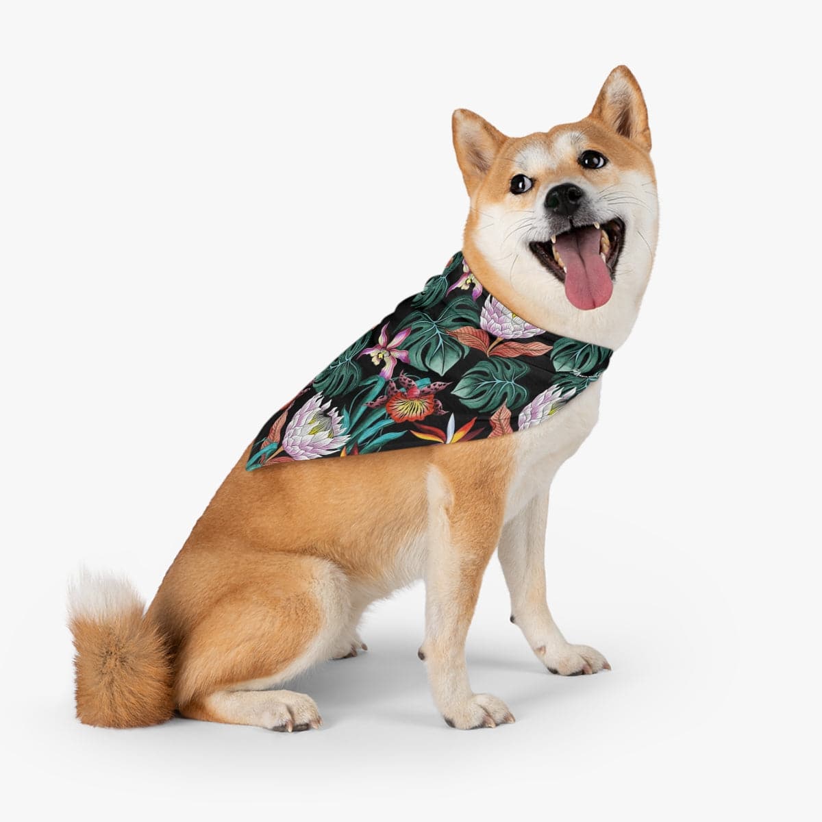 Island Escape Black Pet Bandana