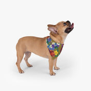Dreamy Floral Pet Bandana
