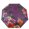 anuschka-accessories-floating-feathers