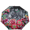 anuschka-accessories-floating-feathers