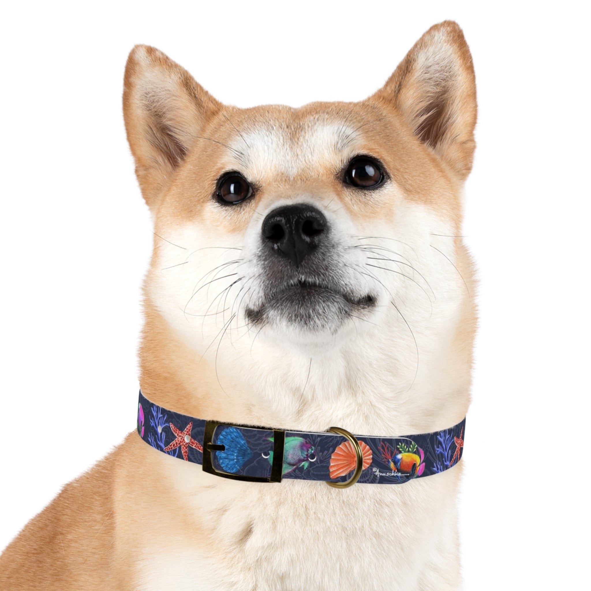 Mystical Reef Dog Collar