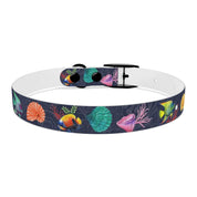 Mystical Reef Dog Collar