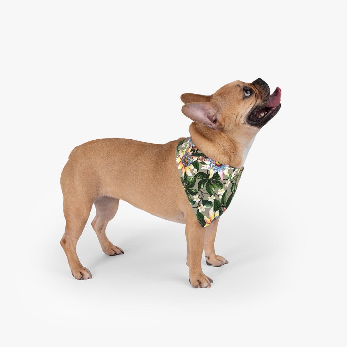 Floral Passion - Pet Bandana - 