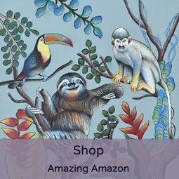 AMAZING_AMAZON_-_New.png