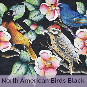 North_American_Birds_Black_aad1d.png